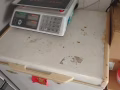 給錢就賣 88838528