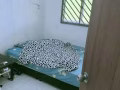 403 Pandan garden 900$