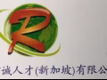 新加坡信诚人才公司直招 印度餐大龄男女杂工，直接申请