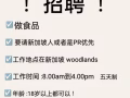 聘请新加坡人或者PR