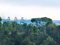 NORMANTON PARK 红山、女皇镇。国大