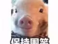 寻找带签人
