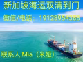 新加坡海运双清到门