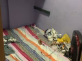 马西岭小库房出租