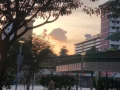 找男房客
