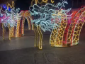 苹果15