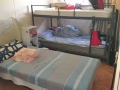 woodlands dr 50 blk 897c $500-550