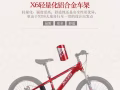 喜德盛22寸山地车