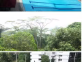 近地铁站, 大巴窑公寓空调女2人间（主人房）出租, 可报地址，包水电网,可煮, 公寓周围环境优美