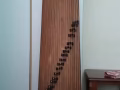 古筝出租 Guzheng Renting for practice/performance etc