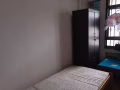 文理667B床位出租