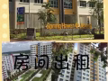 无中介普通房出租$1150