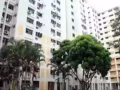 兀蘭海軍部大牌773高樓房間出租