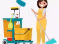 招聘廁所新公民女工