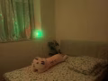 巴耶利峇公寓房间出租98490598