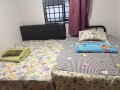 現招女生合租
