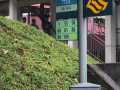 巴西力751出租