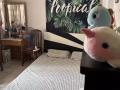 夫妻房