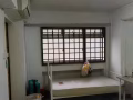 巴西立228