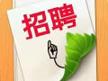 日韩料理，直招收银/后厨（公民、PR、LTVP、）兼职/全职