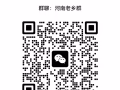 河南老乡群