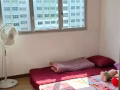 $350尋找一位女搭房