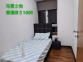 主人房，普通房随时入住