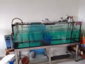 魚缸整套出