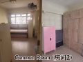 三巴旺 整套出租 whole house Rental $3200