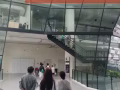 初中弯道超车进新加坡艺术大学，冲绿卡！！