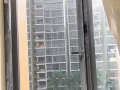 专业宠物网清洗  卸货柜 装货柜  跟车 打杂等一切服务