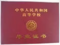 取得国内真实学历，为回国找工作打下基础