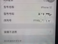 苹果12 蓝 256gb