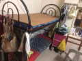 进加东如切有女搭房出租