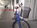 女士自行車