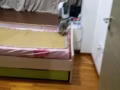 近巴西立地鐵公寓兩人一間普通房，現尋一問男士合租，租金每月550元