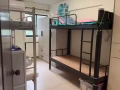 宏茂桥325/411/438/427/332招男女床位无屋主 服务业本屋地址