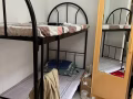 海军部大牌 743, 男床位, 马上入住, 可报本屋地址。房租 S$450/月, 包水电网冷气。联系电 96601404
