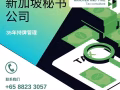 ★ 全球第 6 会计公司：新加坡RSM - 新加坡会计做账 | 报税服务 | 审计 | 秘书 | 财务管理 ★