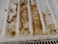 认真细致保洁可以擦外面玻璃