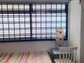 兀蘭普通房招租一名女搭房