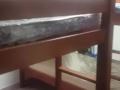 碧山主人房寻一女搭房