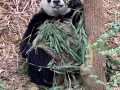 動物園門票