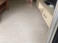 新加坡屋主製造業本屋地址！男