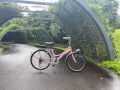 城市自行車，腳車