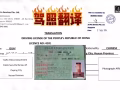 AZ新加坡专业驾照咨询顾问