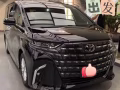 新加坡旅游/商务用车