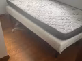 Master and Standard Rooms for Rent