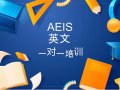 AEIS 备考，一对一深入培训