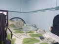 勿洛大牌23